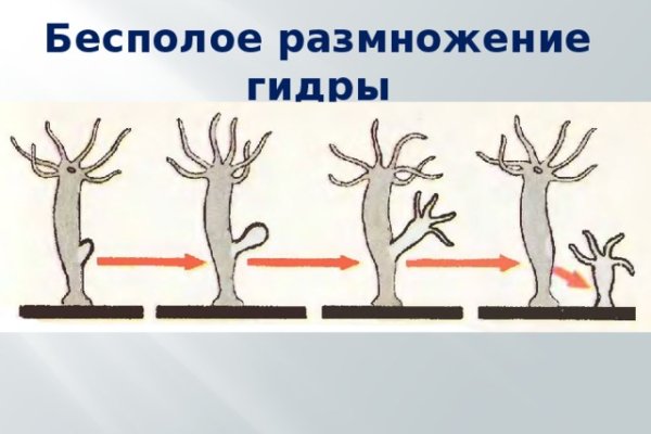 Через какой браузер заходить на кракен