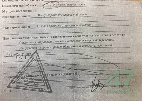 Как восстановить аккаунт на кракене